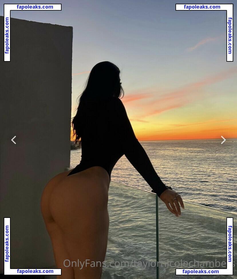 Taylor Nicole Chambers / taylornchambers_ / taylornicolechambers nude photo #0031 from OnlyFans