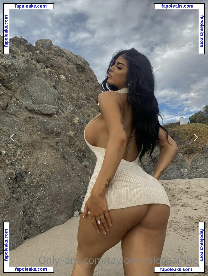 Taylor Nicole Chambers / taylornchambers_ / taylornicolechambers nude photo #0045 from OnlyFans