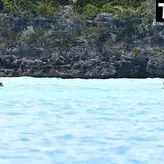 Taylor Swift голая #1752