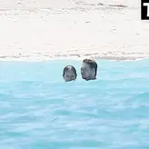 Taylor Swift голая #1758