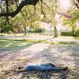 Taylor Swift nude #3707