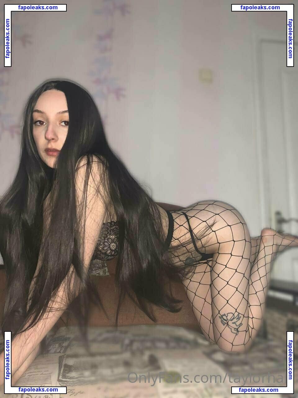 taylorhalll / taylorhalll_ nude photo #0024 from OnlyFans