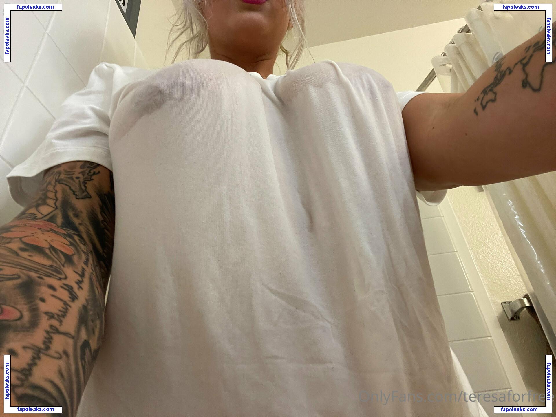 teresaforfree / teresafterdark1 nude photo #0012 from OnlyFans