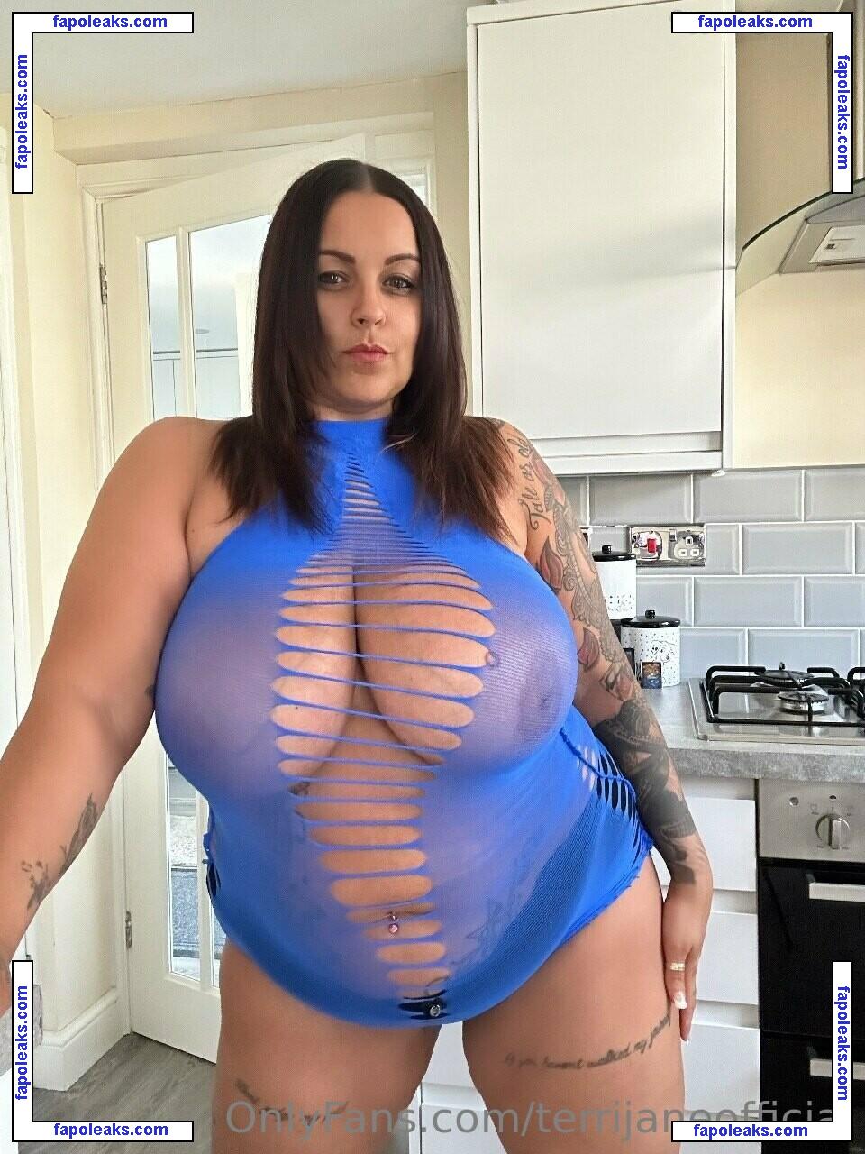 terrijaneofficial nude photo #0204 from OnlyFans