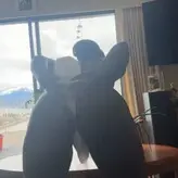 Thandiwe Svisdhal голая #0002