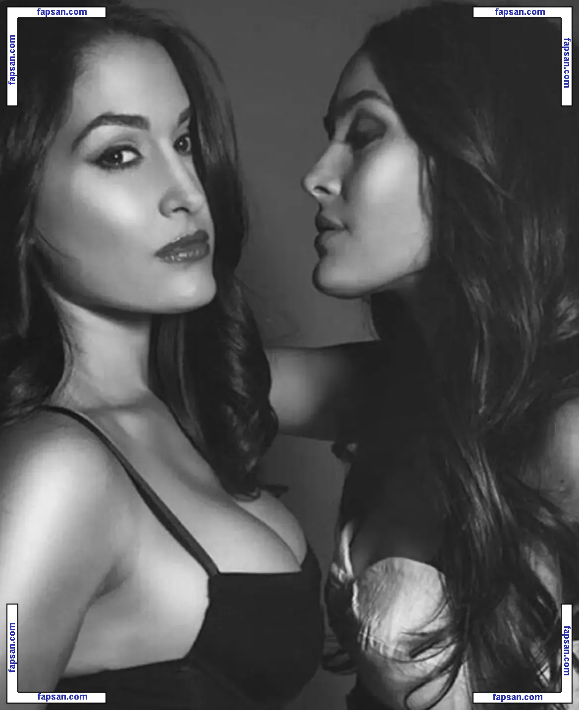 The Bella Twins: nude photo #0016 from OnlyFans
