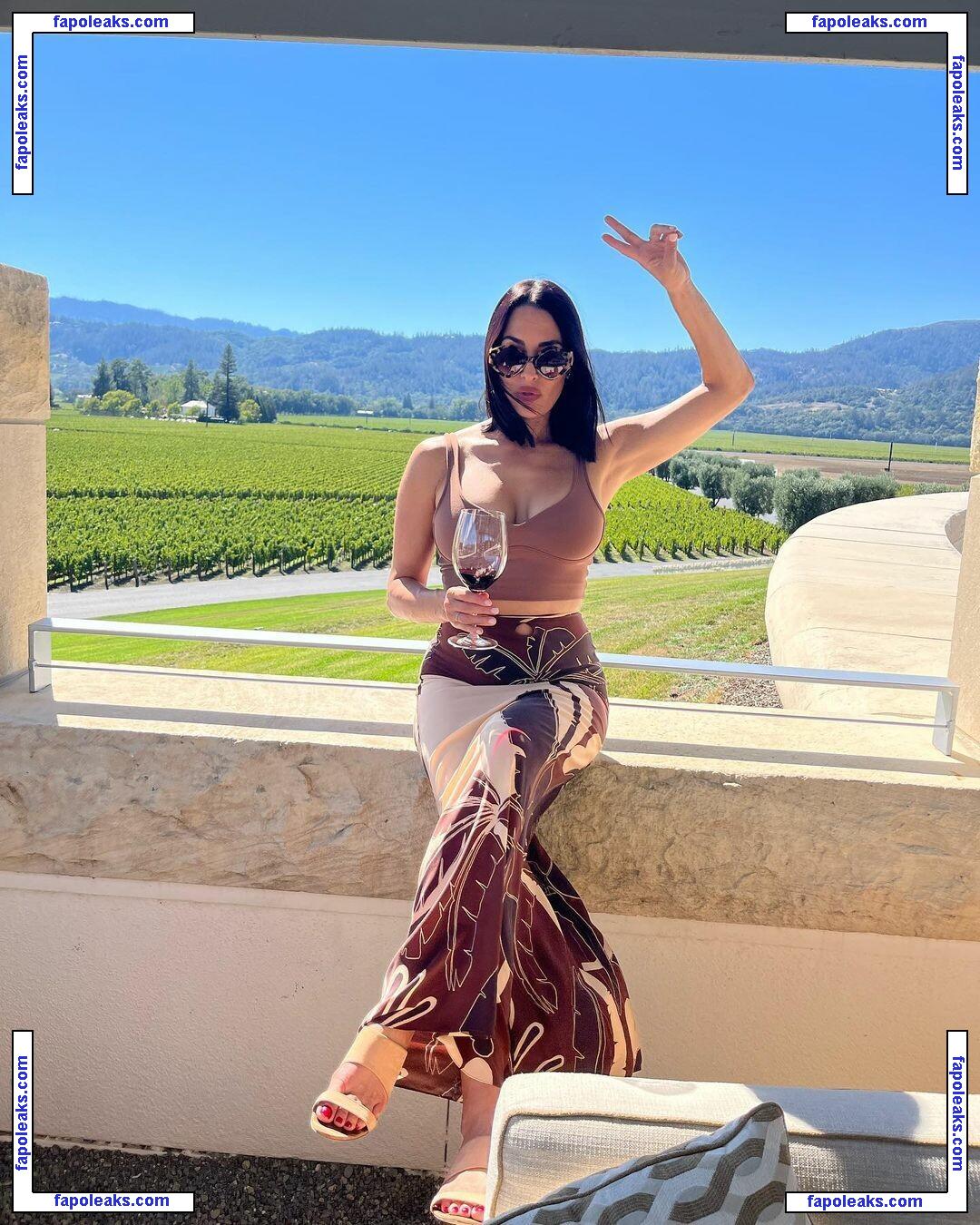 The Bella Twins: / Nikki Bella & Brie Bella / thenikkibella nude photo #0030 from OnlyFans