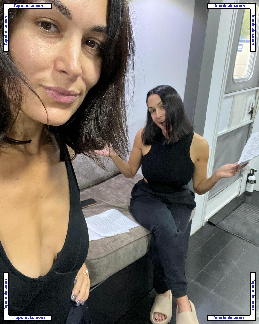 The Bella Twins: / Nikki Bella & Brie Bella / thenikkibella nude photo #0038 from OnlyFans