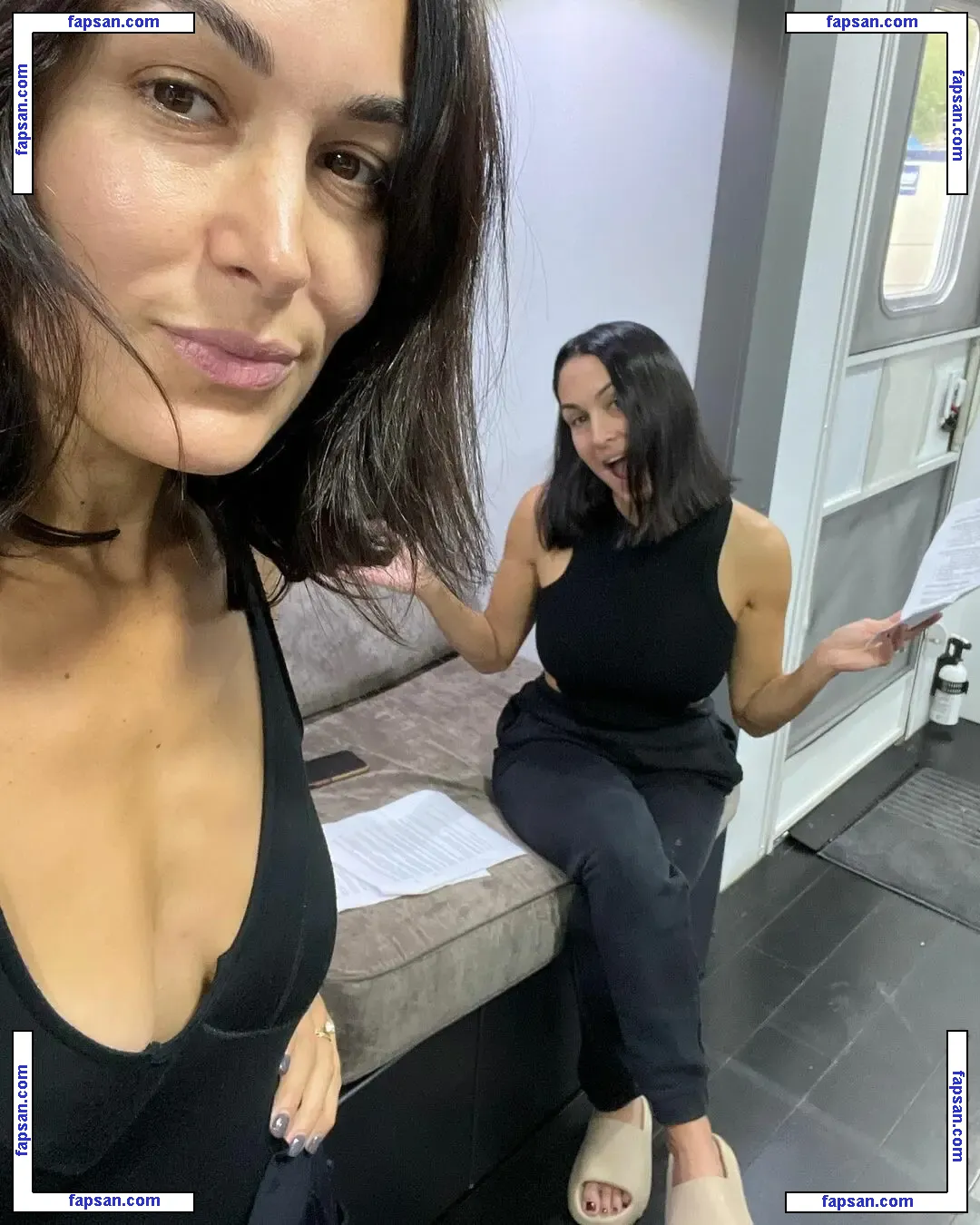 The Bella Twins: голая фото #0038 с Онлифанс