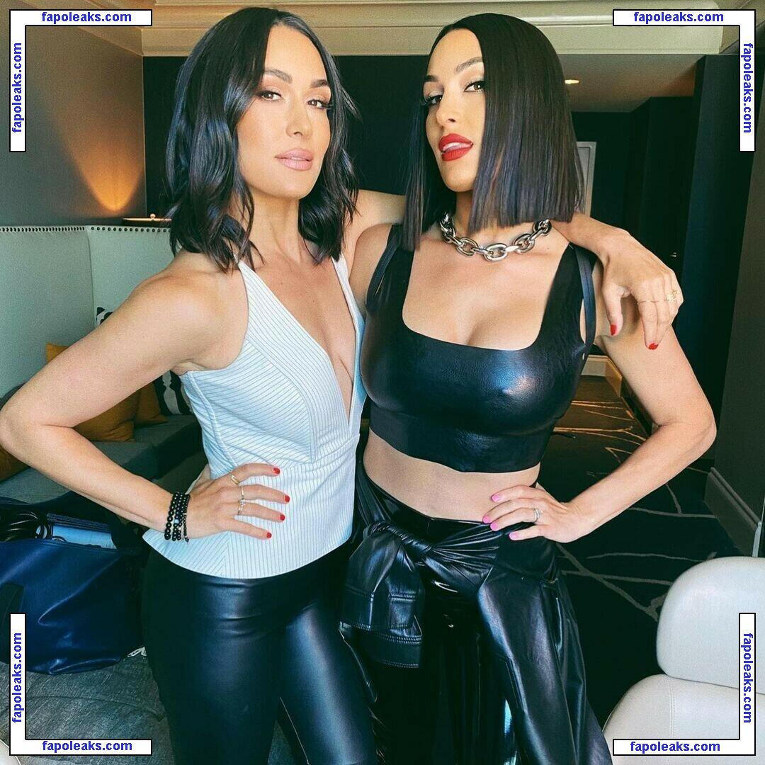 The Bella Twins: / Nikki Bella & Brie Bella / thenikkibella nude photo #0056 from OnlyFans