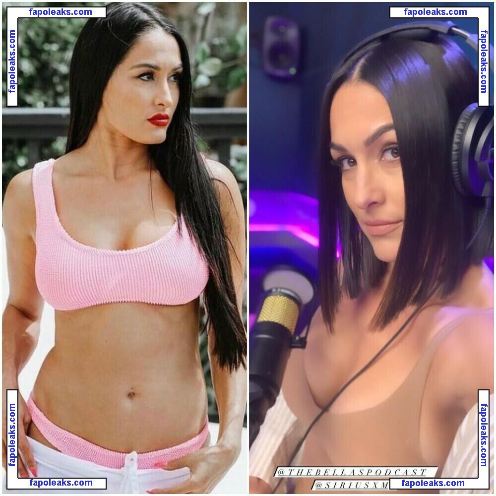 The Bella Twins: / Nikki Bella & Brie Bella / thenikkibella nude photo #0057 from OnlyFans