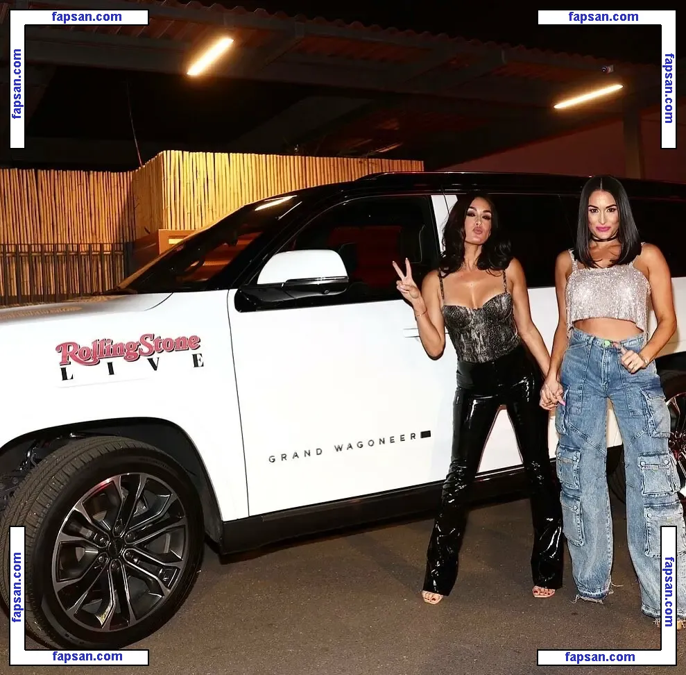 The Bella Twins: голая фото #0075 с Онлифанс