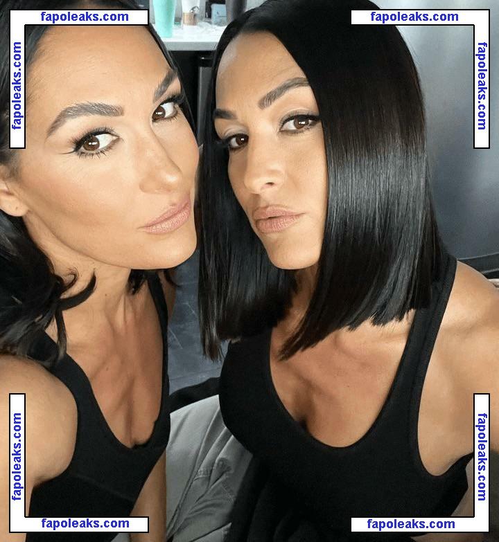 The Bella Twins: / Nikki Bella & Brie Bella / thenikkibella nude photo #0080 from OnlyFans