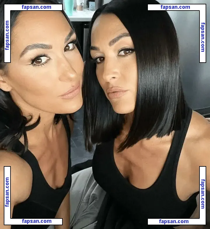 The Bella Twins: голая фото #0080 с Онлифанс