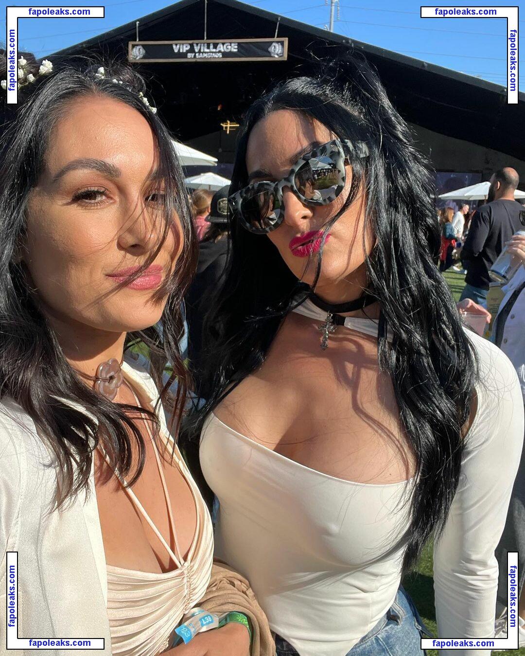 The Bella Twins: / Nikki Bella & Brie Bella / thenikkibella nude photo #0102 from OnlyFans