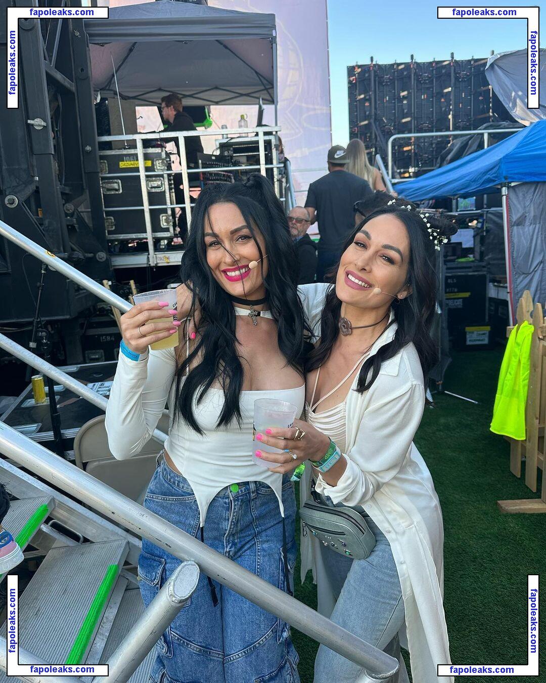 The Bella Twins: / Nikki Bella & Brie Bella / thenikkibella nude photo #0104 from OnlyFans