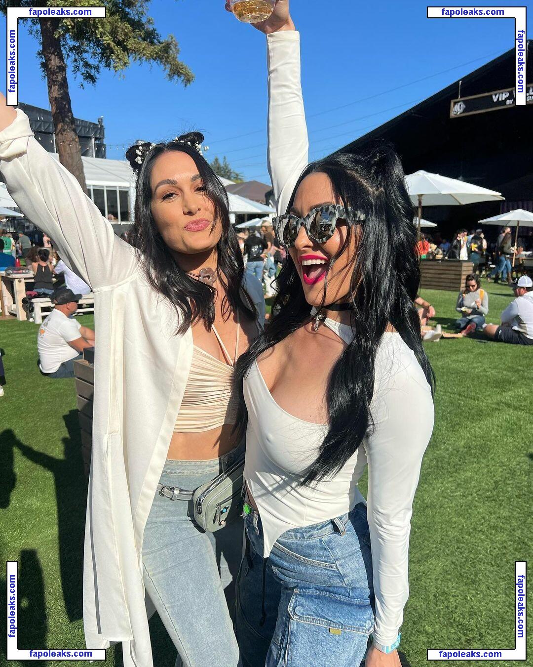 The Bella Twins: / Nikki Bella & Brie Bella / thenikkibella nude photo #0106 from OnlyFans