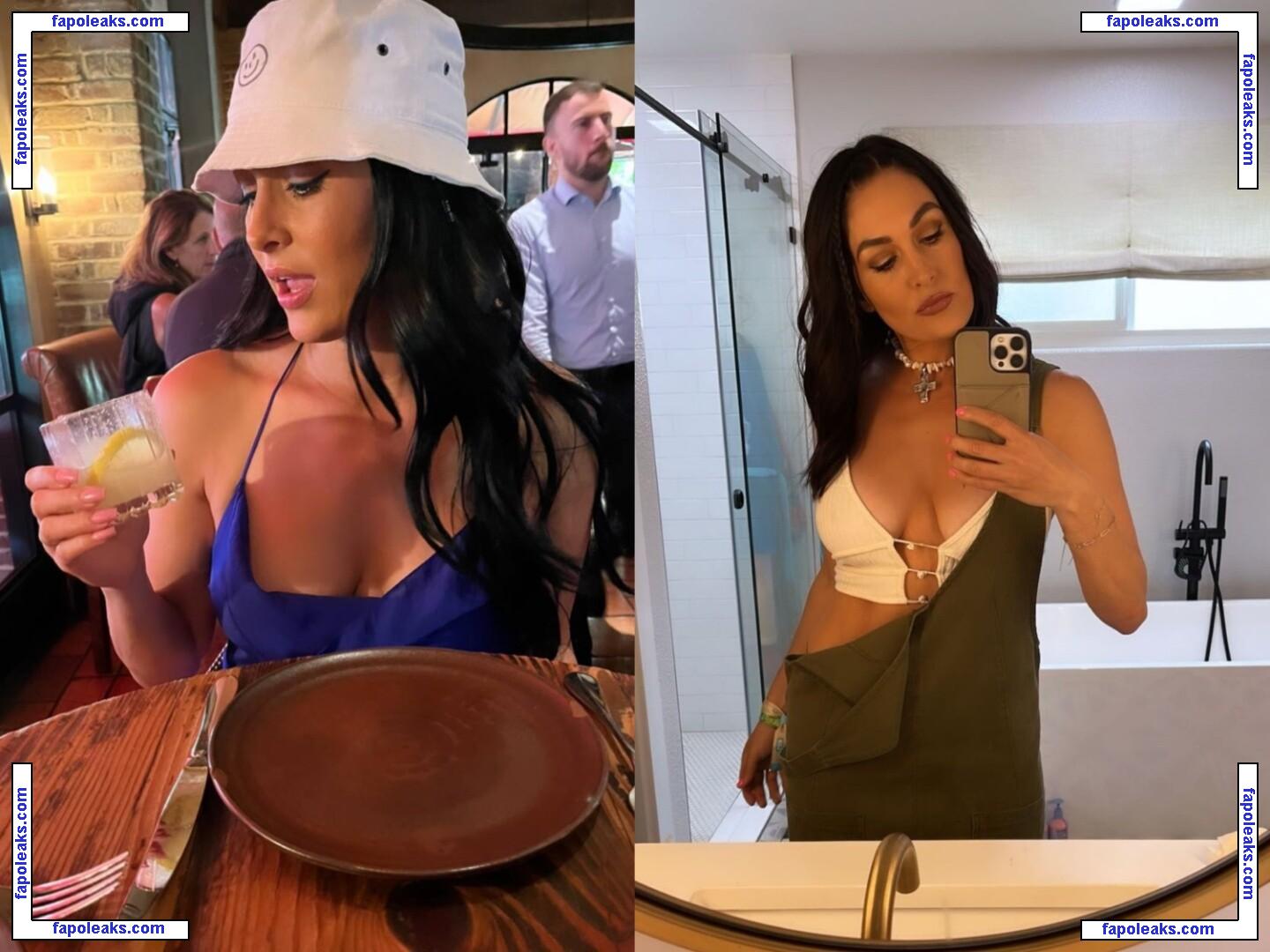 The Bella Twins: / Nikki Bella & Brie Bella / thenikkibella nude photo #0108 from OnlyFans