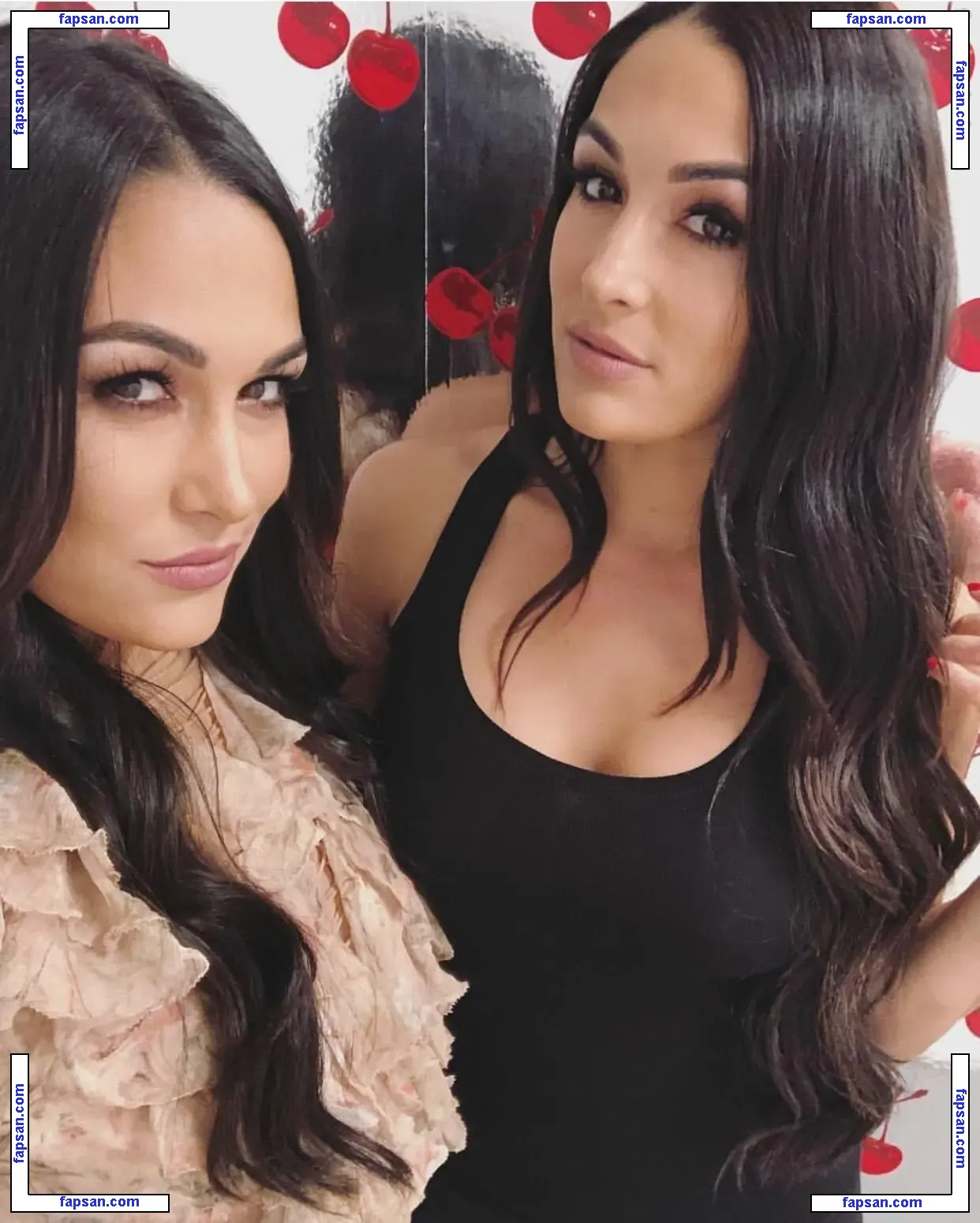 The Bella Twins: голая фото #0111 с Онлифанс