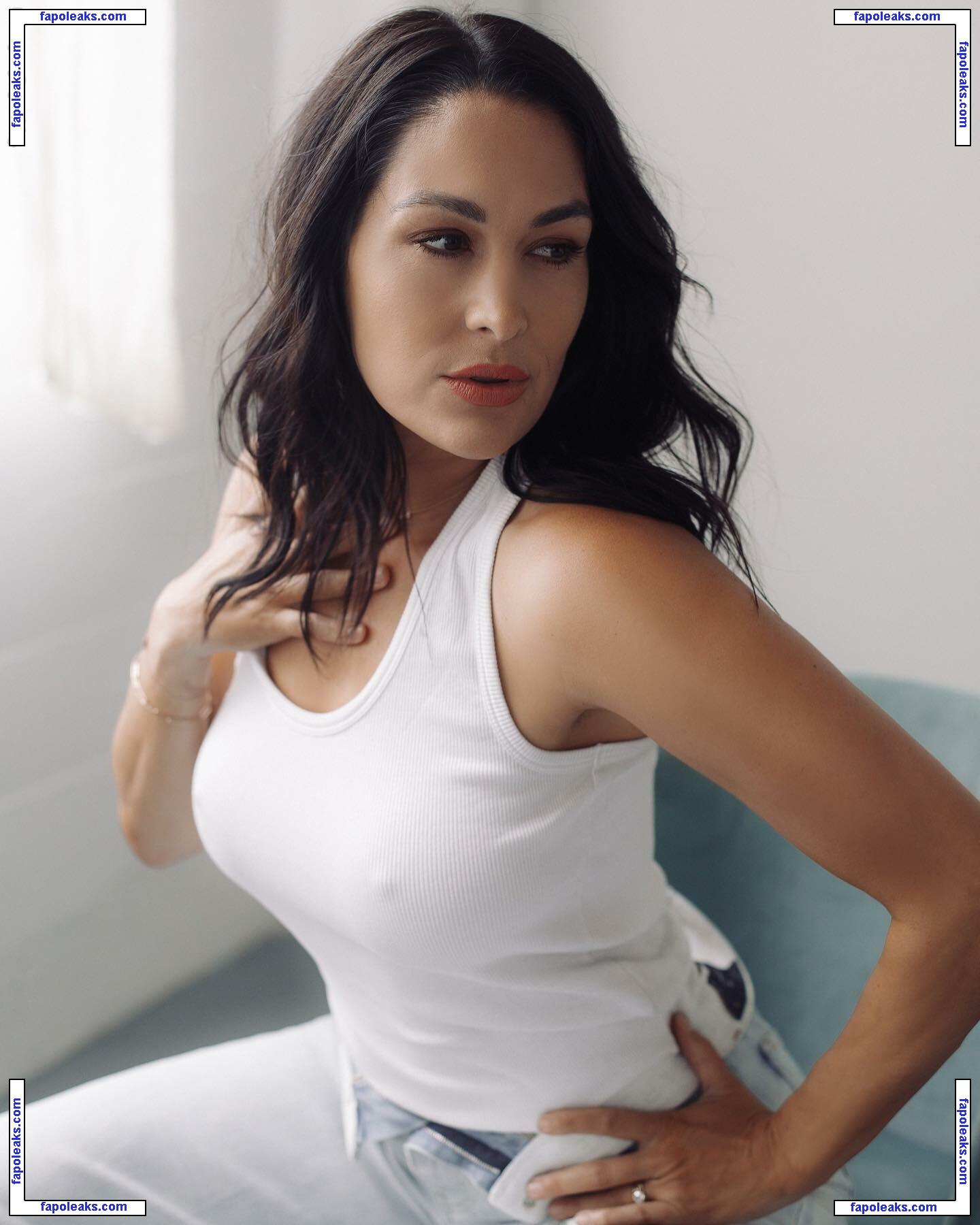 The Bella Twins: / Nikki Bella & Brie Bella / thenikkibella nude photo #0126 from OnlyFans