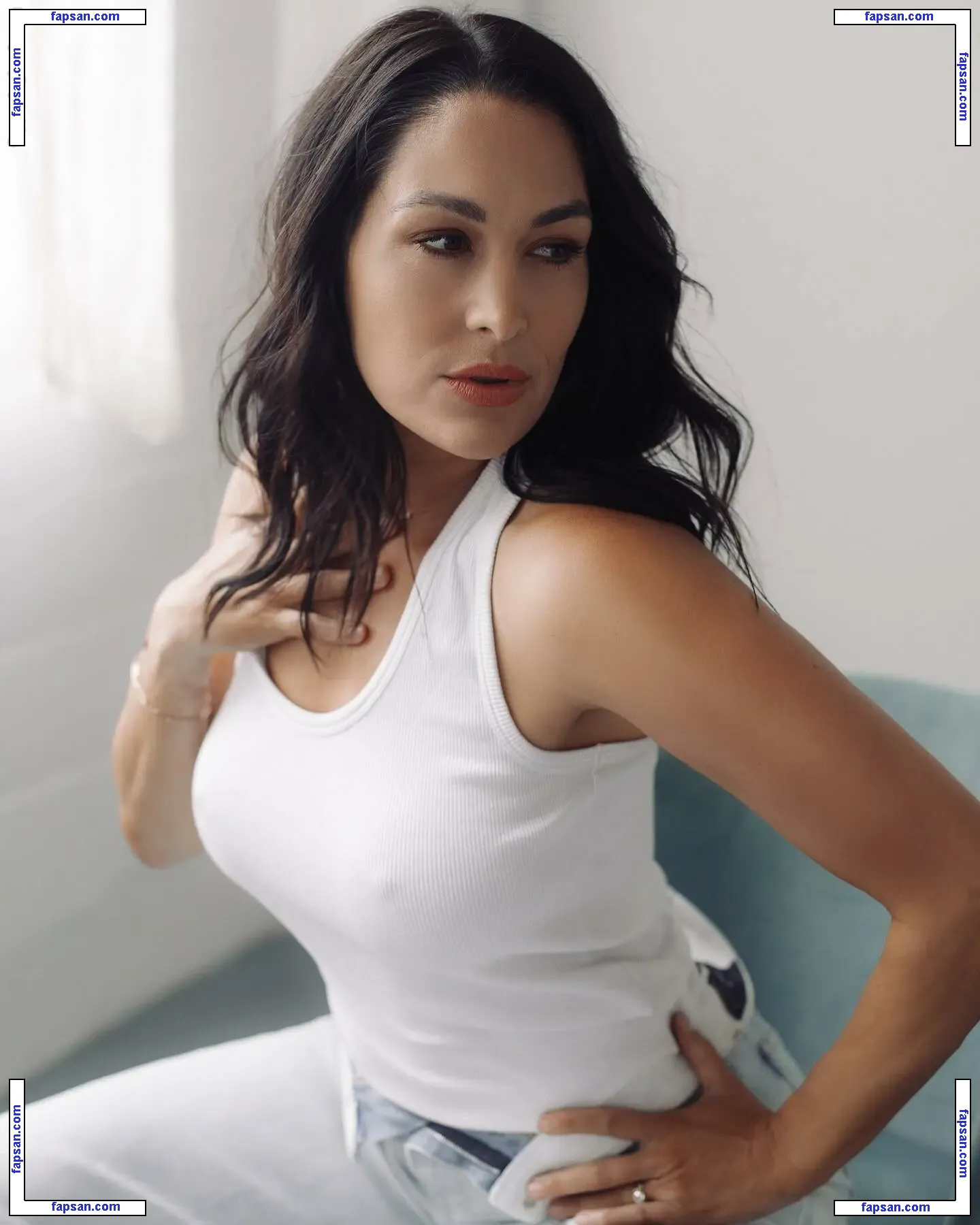 The Bella Twins: голая фото #0126 с Онлифанс