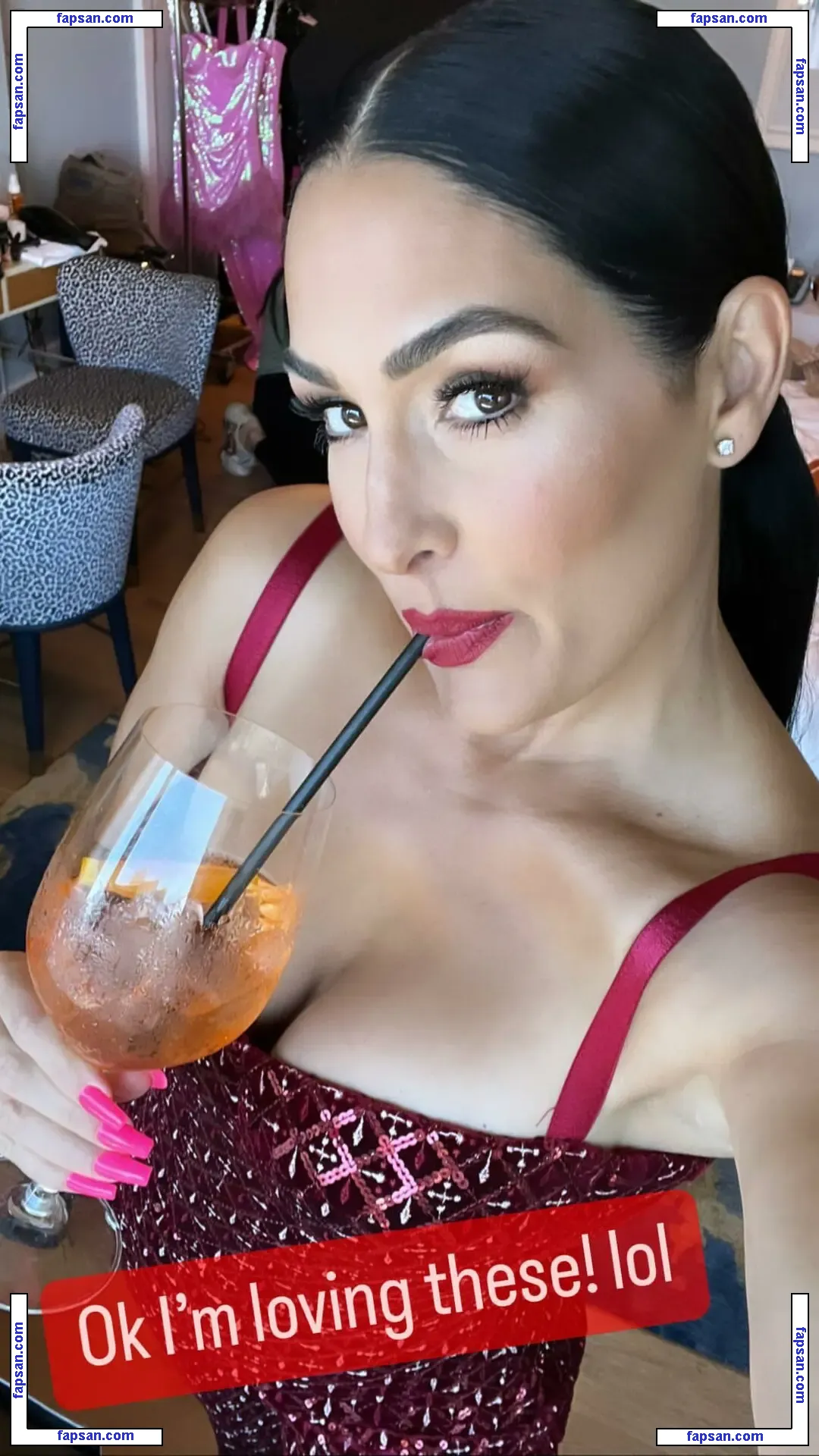 The Bella Twins: голая фото #0149 с Онлифанс
