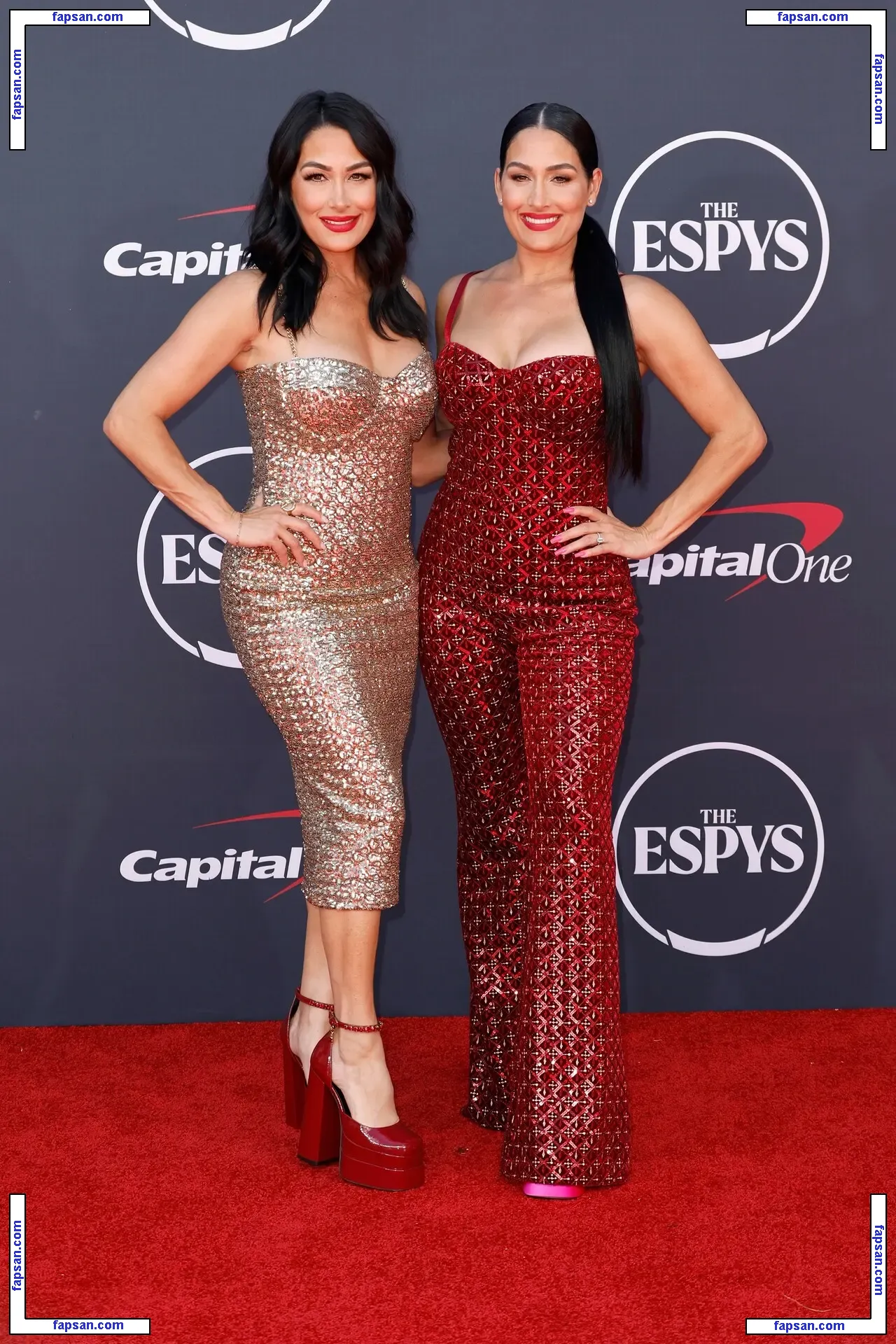The Bella Twins: голая фото #0151 с Онлифанс