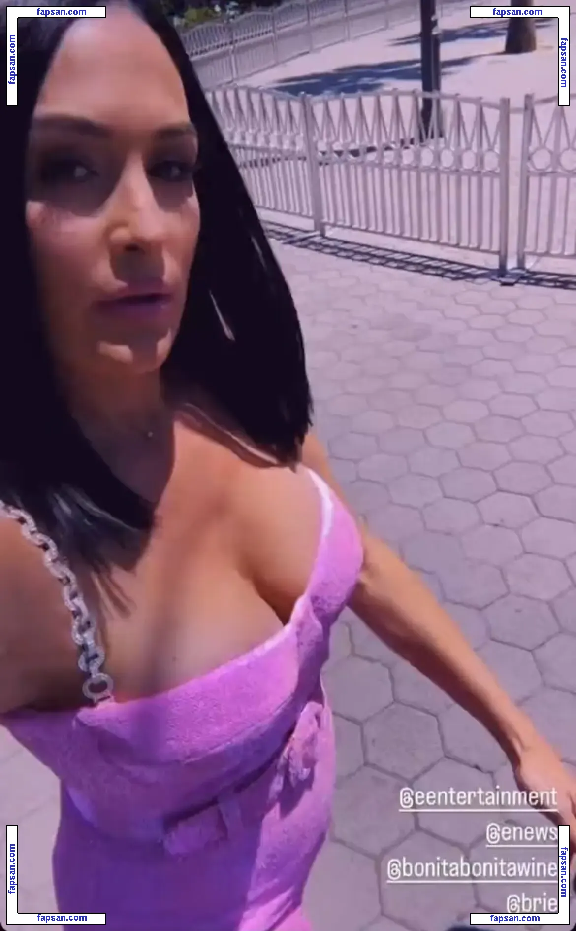 The Bella Twins: nude photo #0158 from OnlyFans