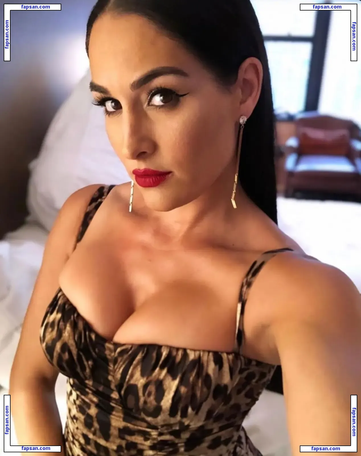The Bella Twins: голая фото #0161 с Онлифанс