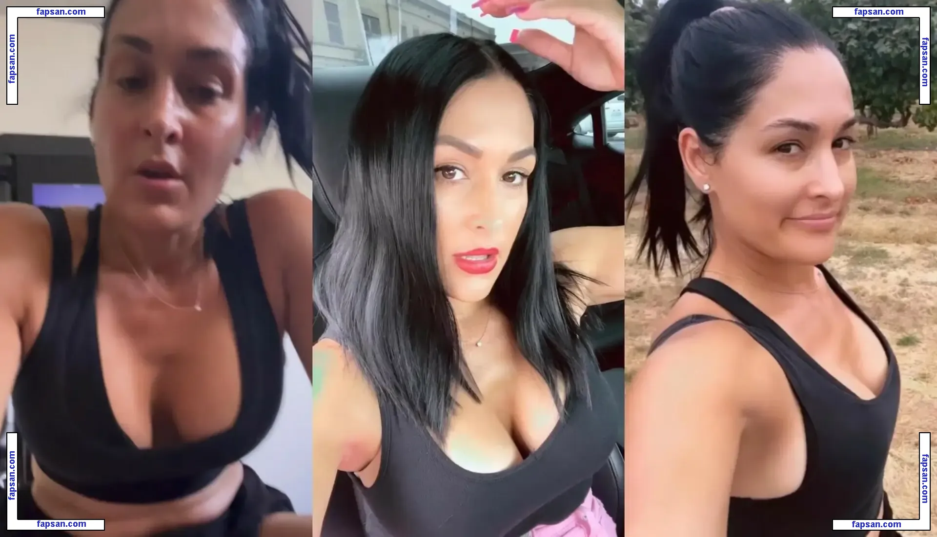 The Bella Twins: голая фото #0203 с Онлифанс