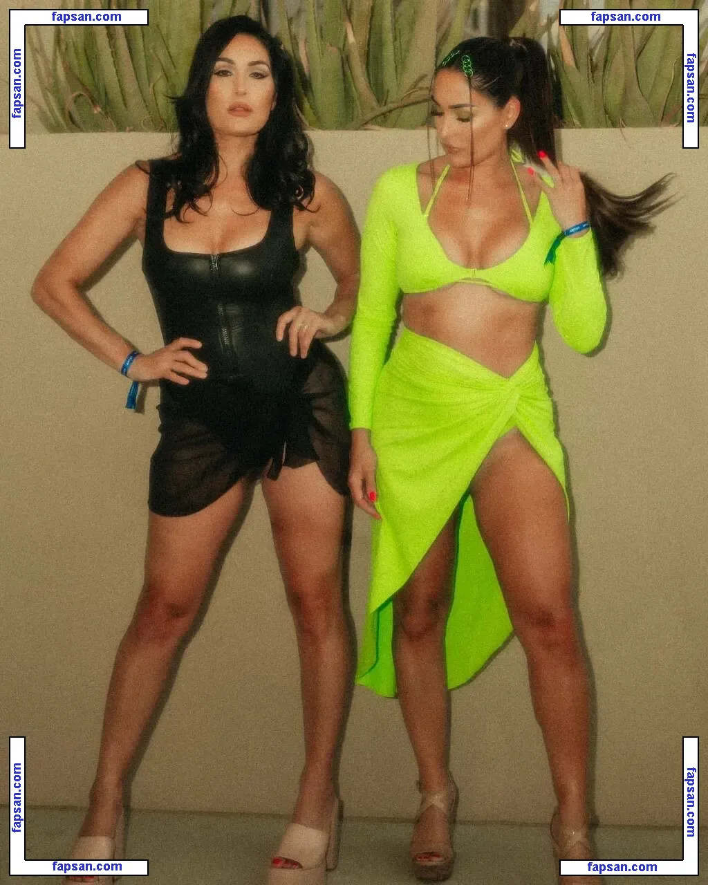 The Bella Twins: голая фото #0212 с Онлифанс