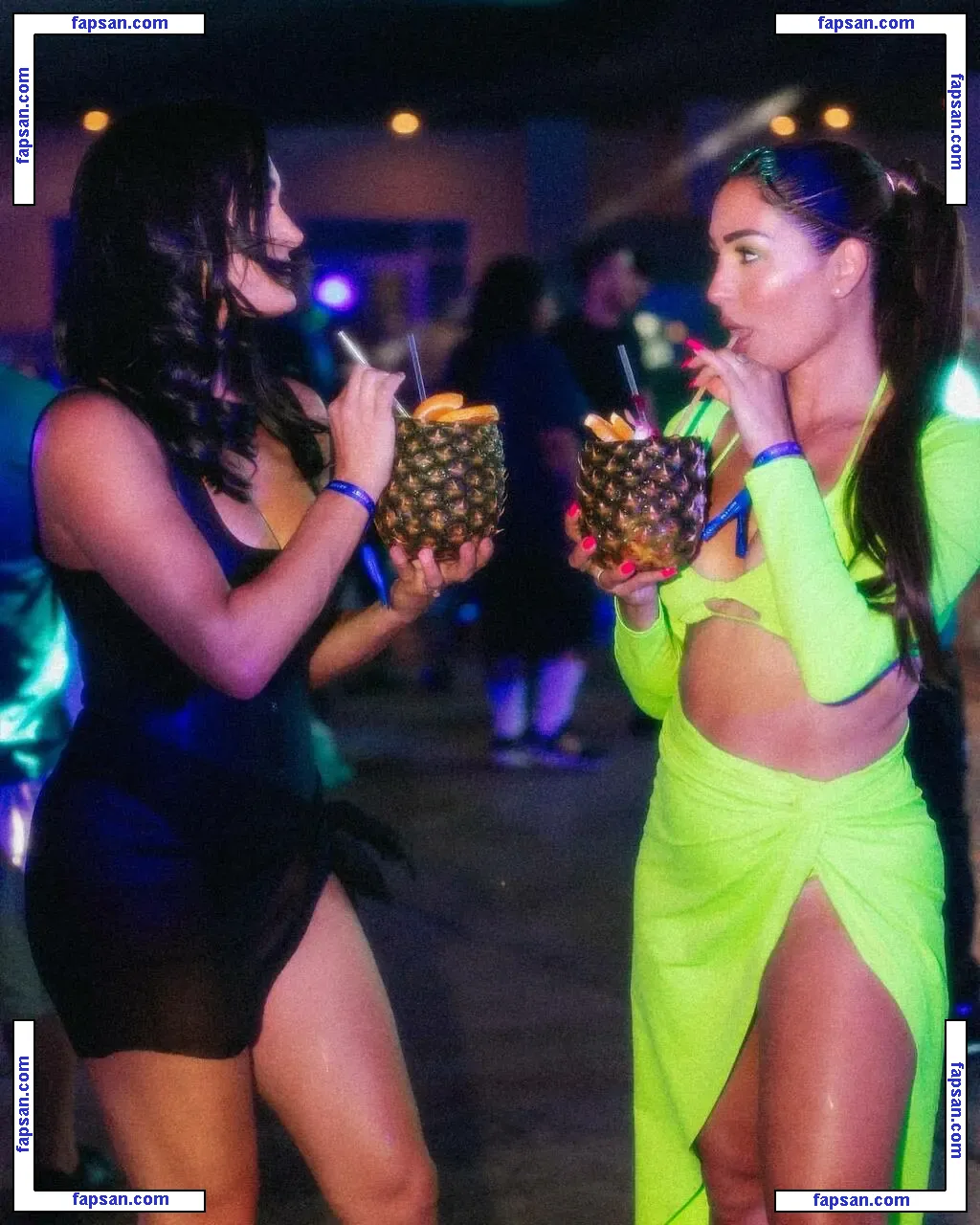 The Bella Twins: голая фото #0213 с Онлифанс