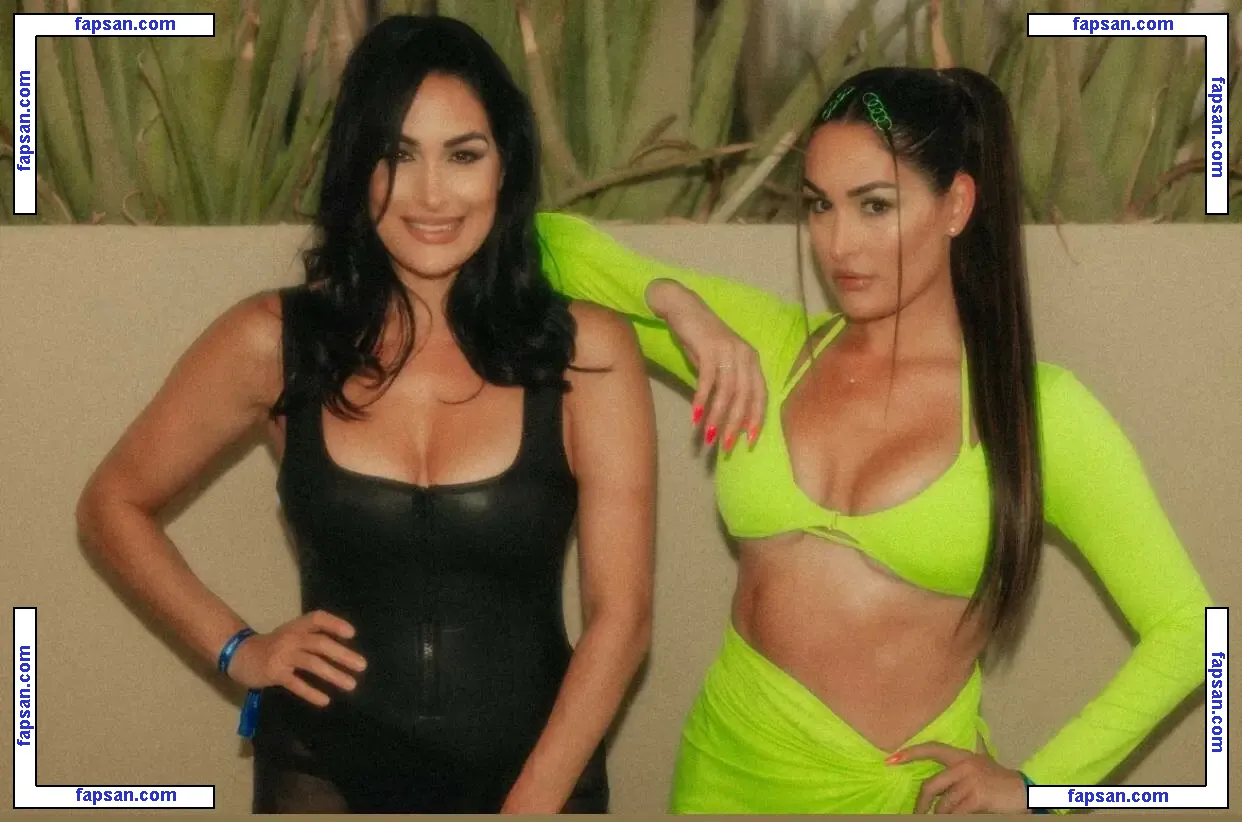 The Bella Twins: голая фото #0217 с Онлифанс
