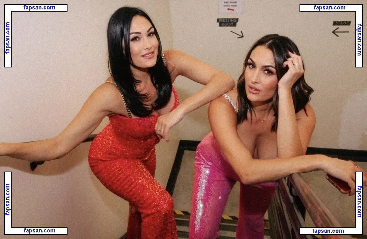The Bella Twins: голая фото #0248 с Онлифанс