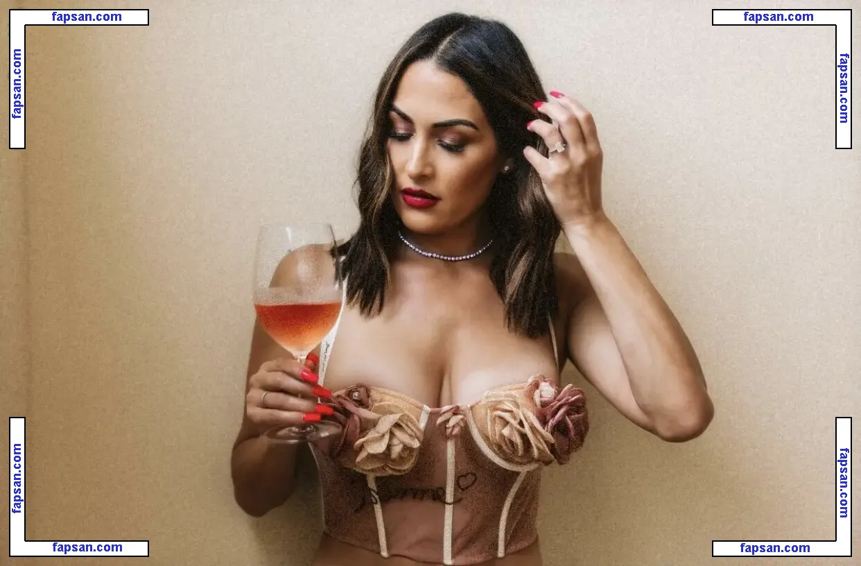 The Bella Twins: голая фото #0294 с Онлифанс