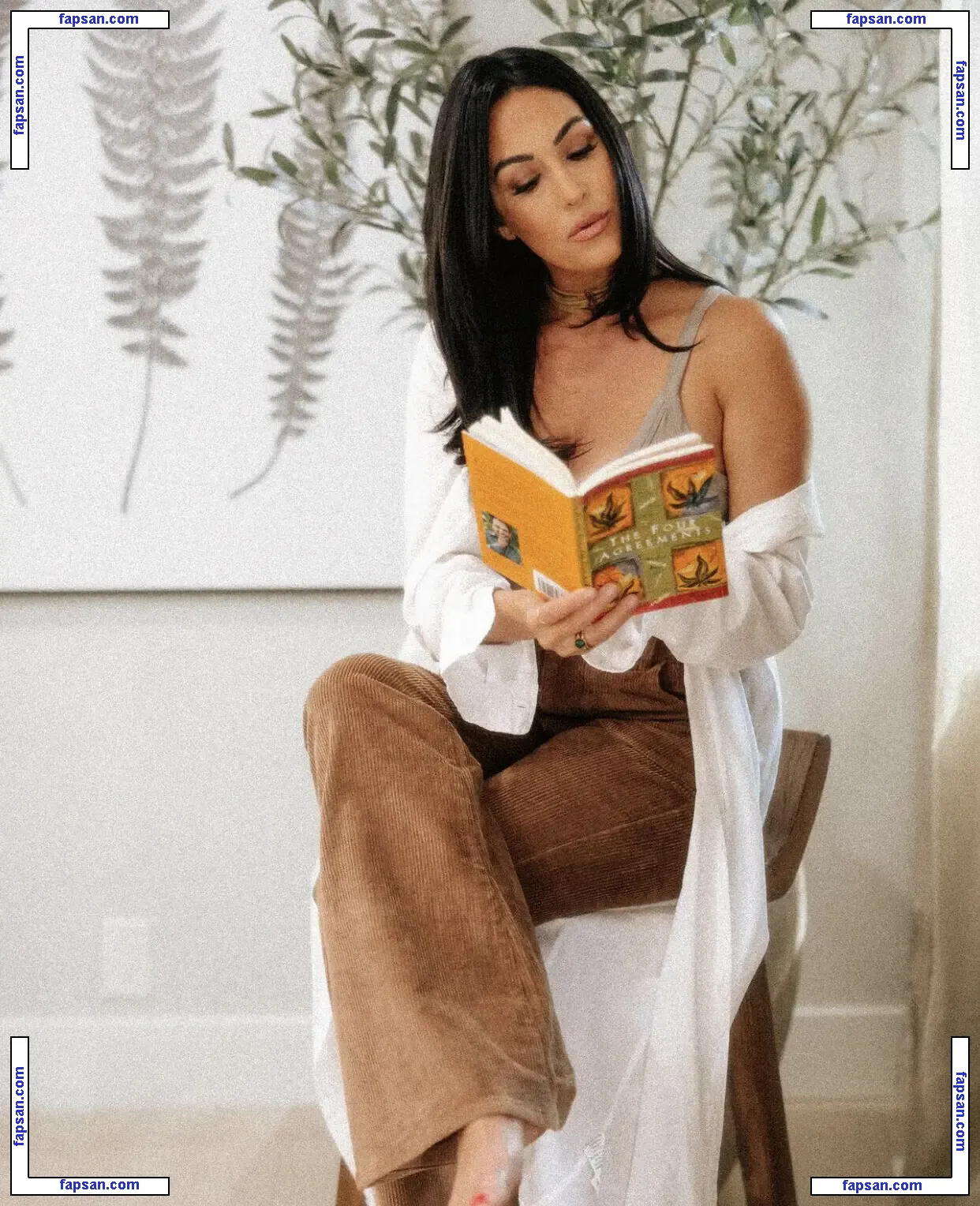 The Bella Twins: голая фото #0300 с Онлифанс