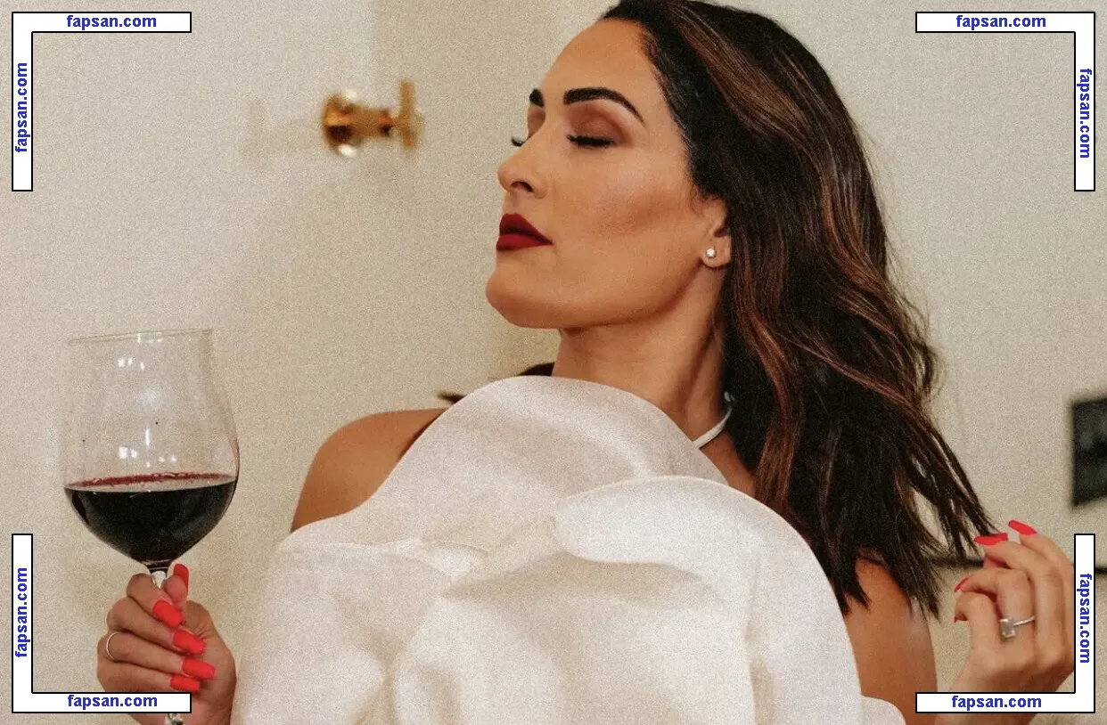 The Bella Twins: голая фото #0310 с Онлифанс