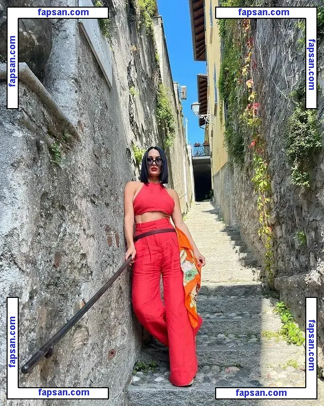 The Bella Twins: nude photo #0320 from OnlyFans
