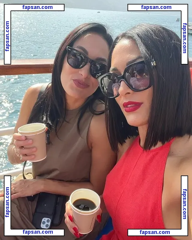 The Bella Twins: голая фото #0329 с Онлифанс