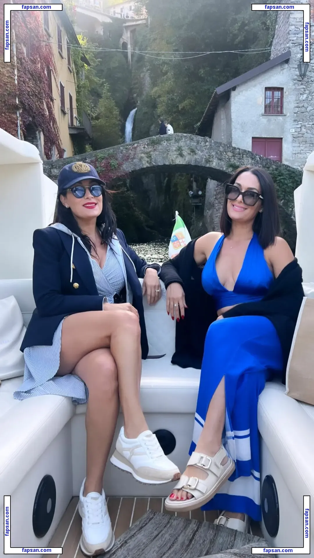 The Bella Twins: голая фото #0353 с Онлифанс