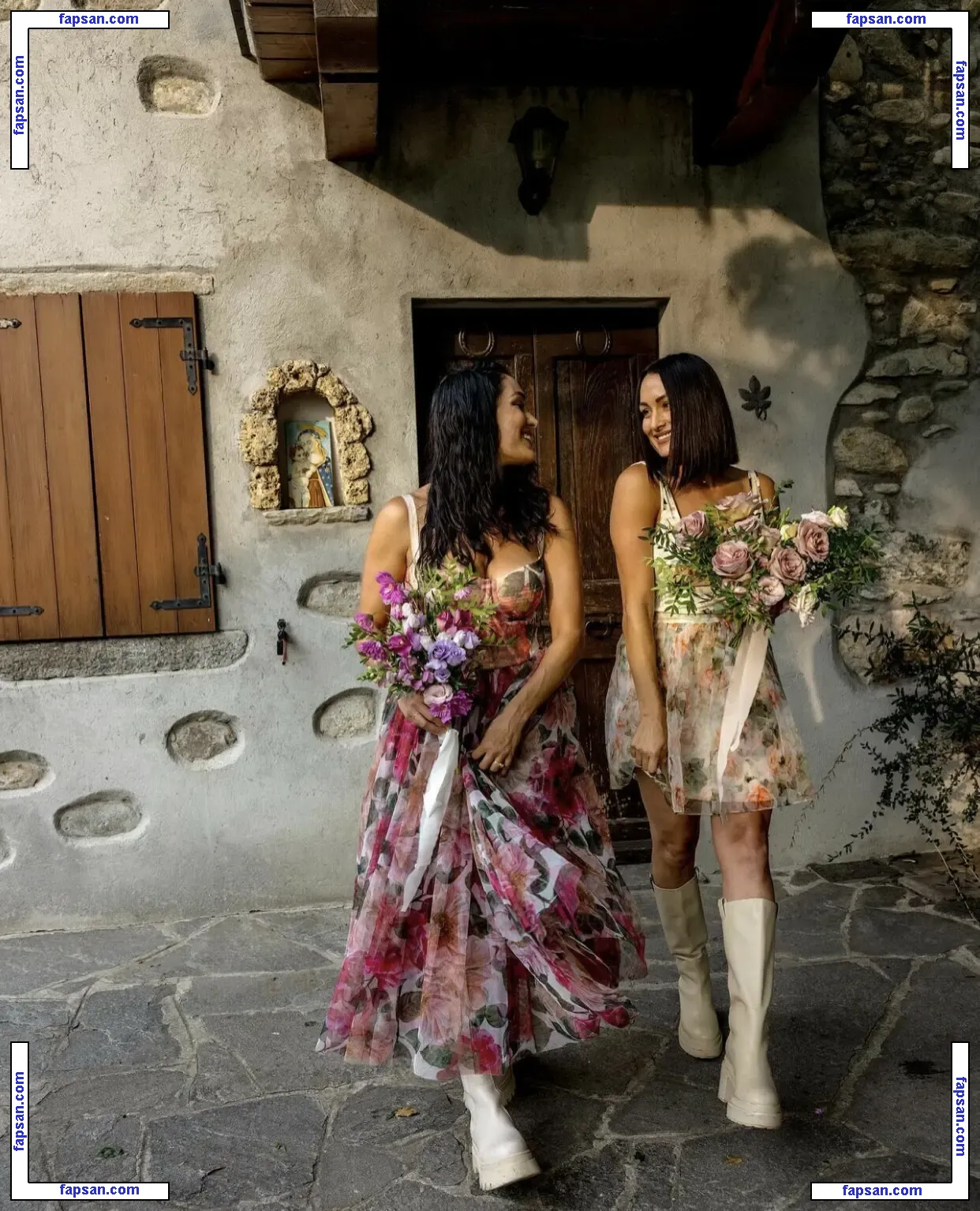 The Bella Twins: голая фото #0369 с Онлифанс