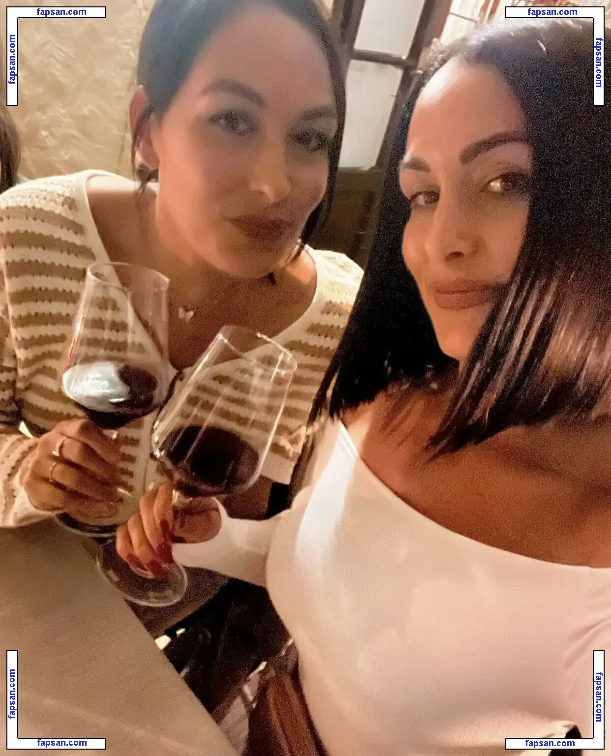 The Bella Twins: голая фото #0372 с Онлифанс