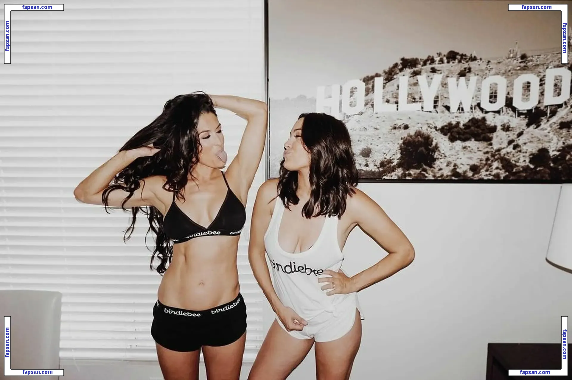 The Bella Twins: голая фото #0377 с Онлифанс