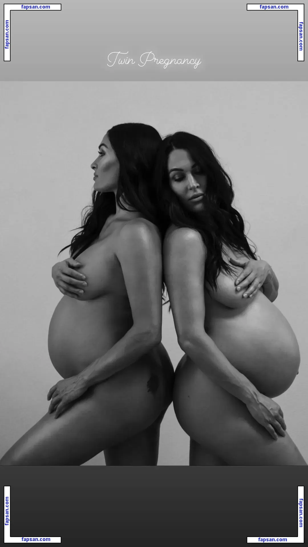 The Bella Twins: голая фото #0380 с Онлифанс