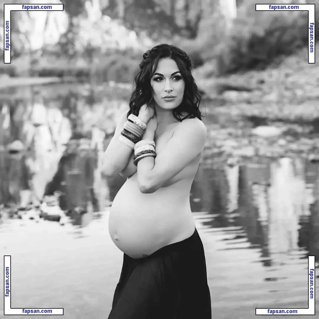 The Bella Twins: голая фото #0391 с Онлифанс