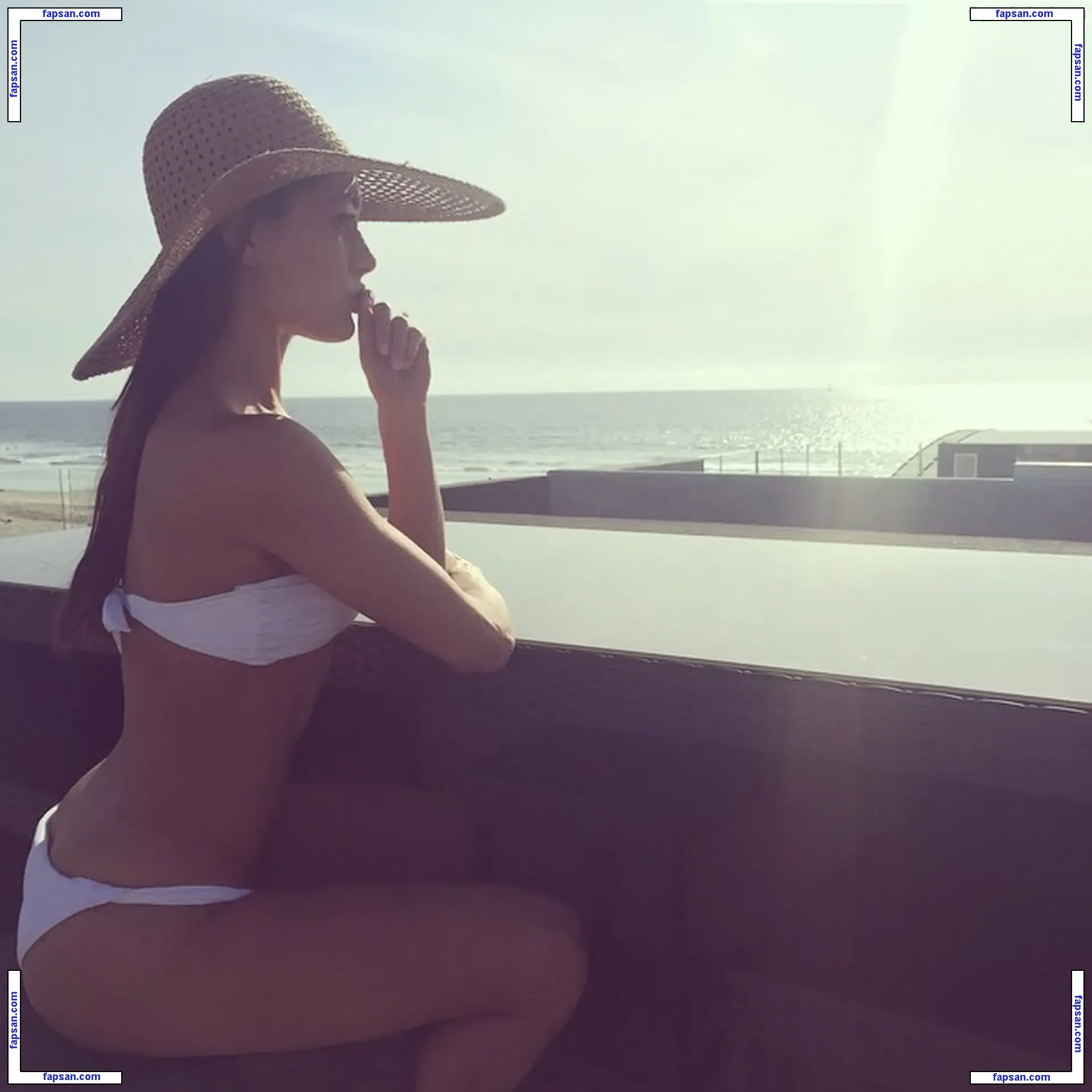 The Bella Twins: голая фото #0393 с Онлифанс