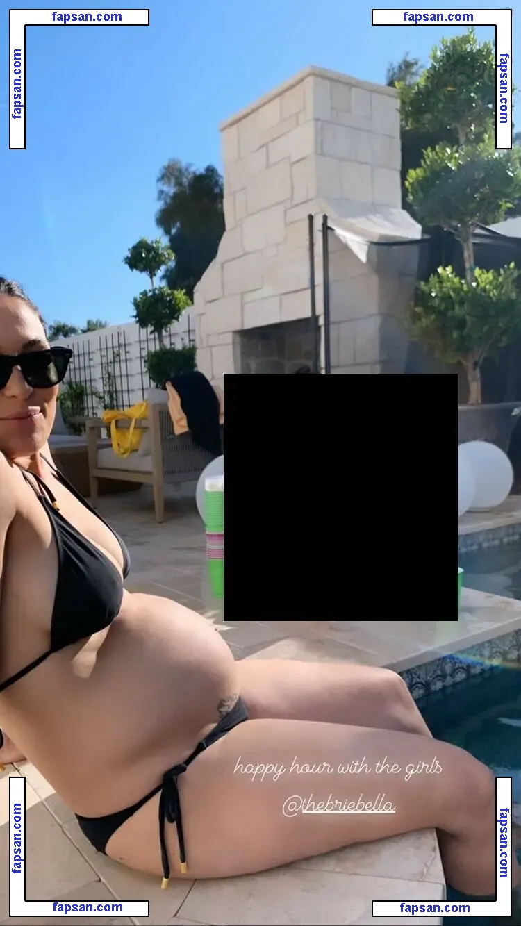 The Bella Twins: nude photo #0396 from OnlyFans