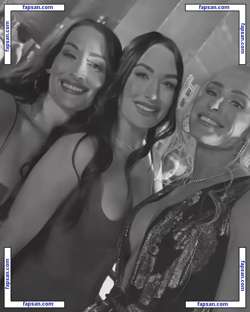 The Bella Twins: nude photo #0402 from OnlyFans