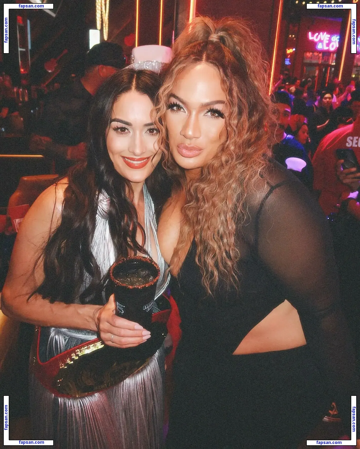 The Bella Twins: голая фото #0410 с Онлифанс