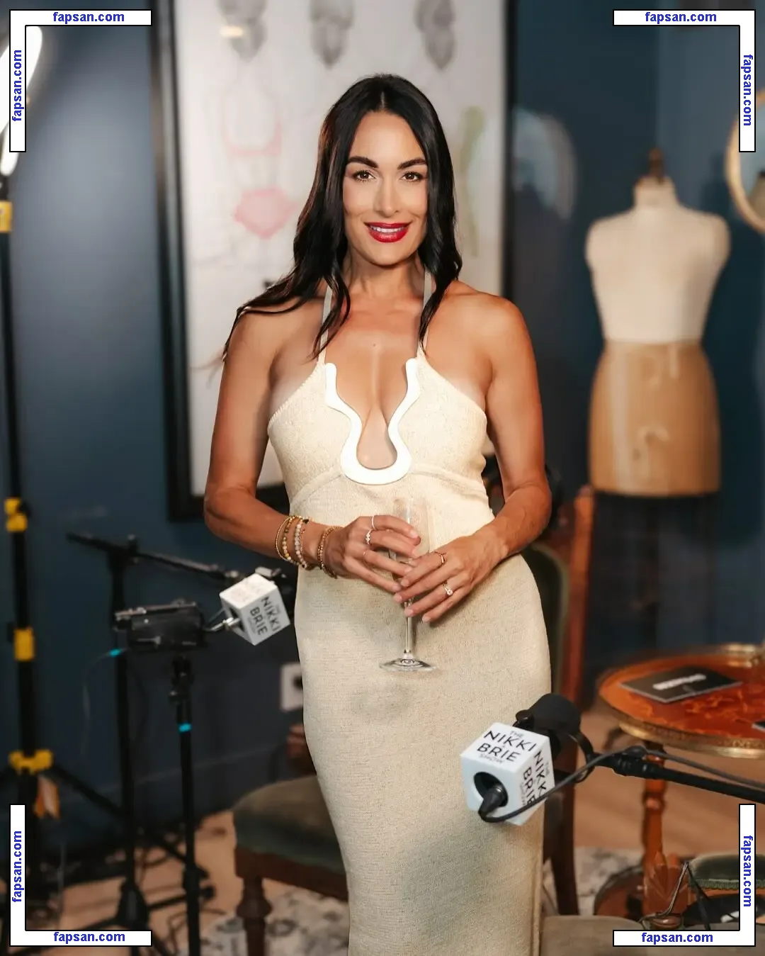 The Bella Twins: nude photo #0412 from OnlyFans